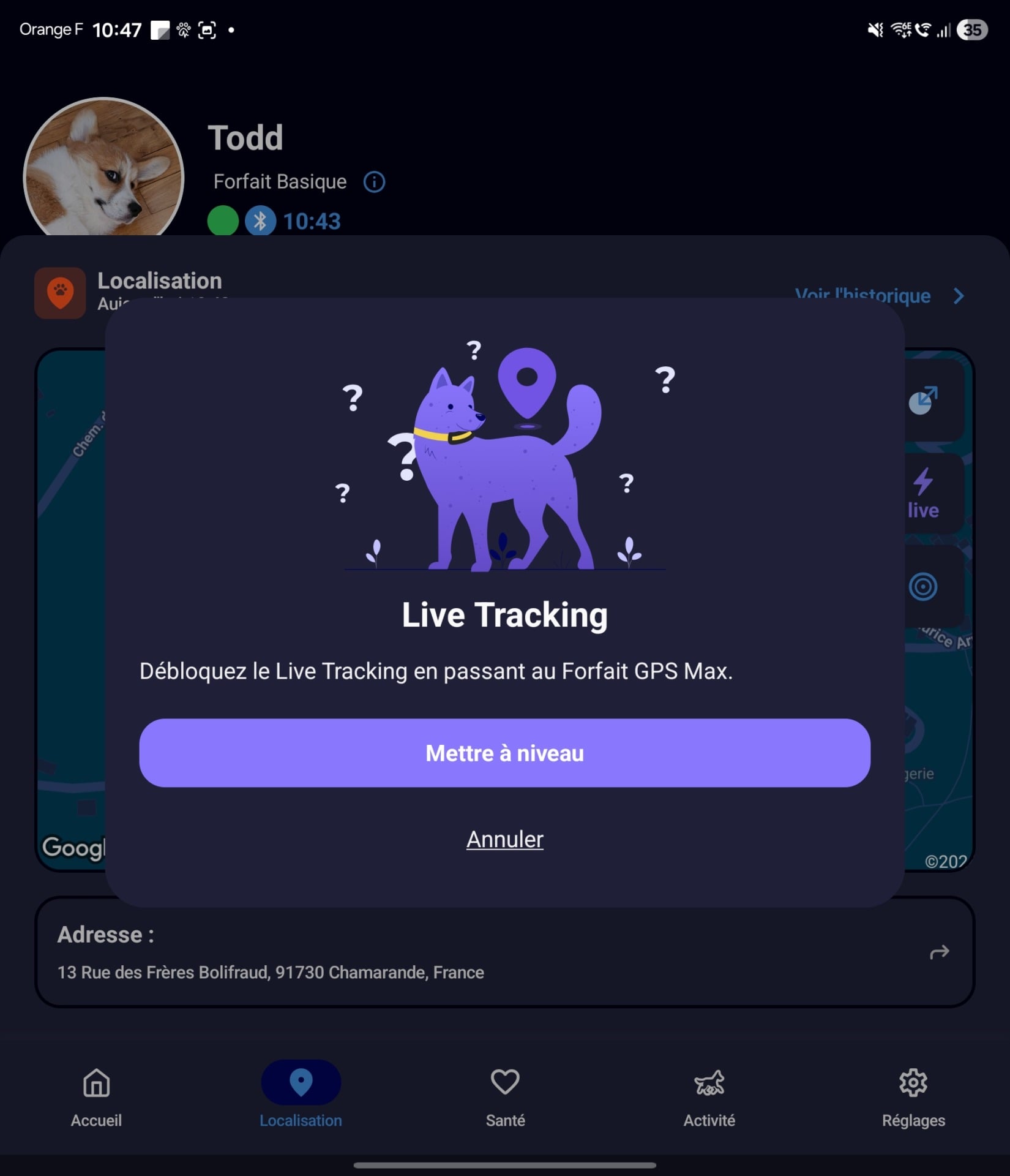 Test Invoxia MiniTailz Todd