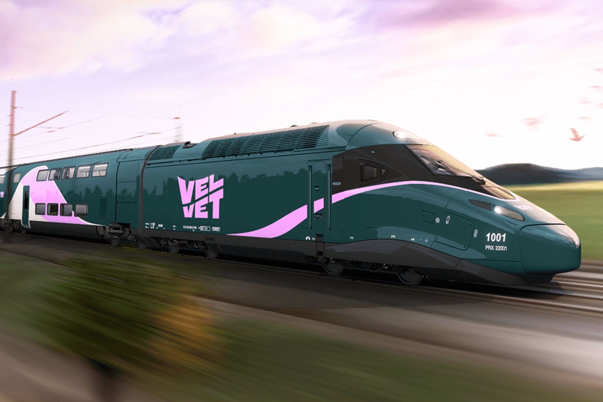 Tgv Velvet