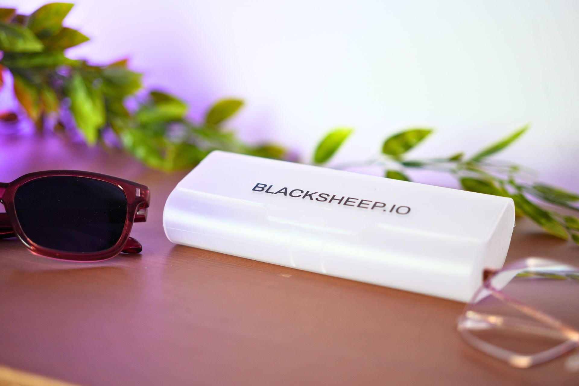 Blacksheep Lunettes (2)