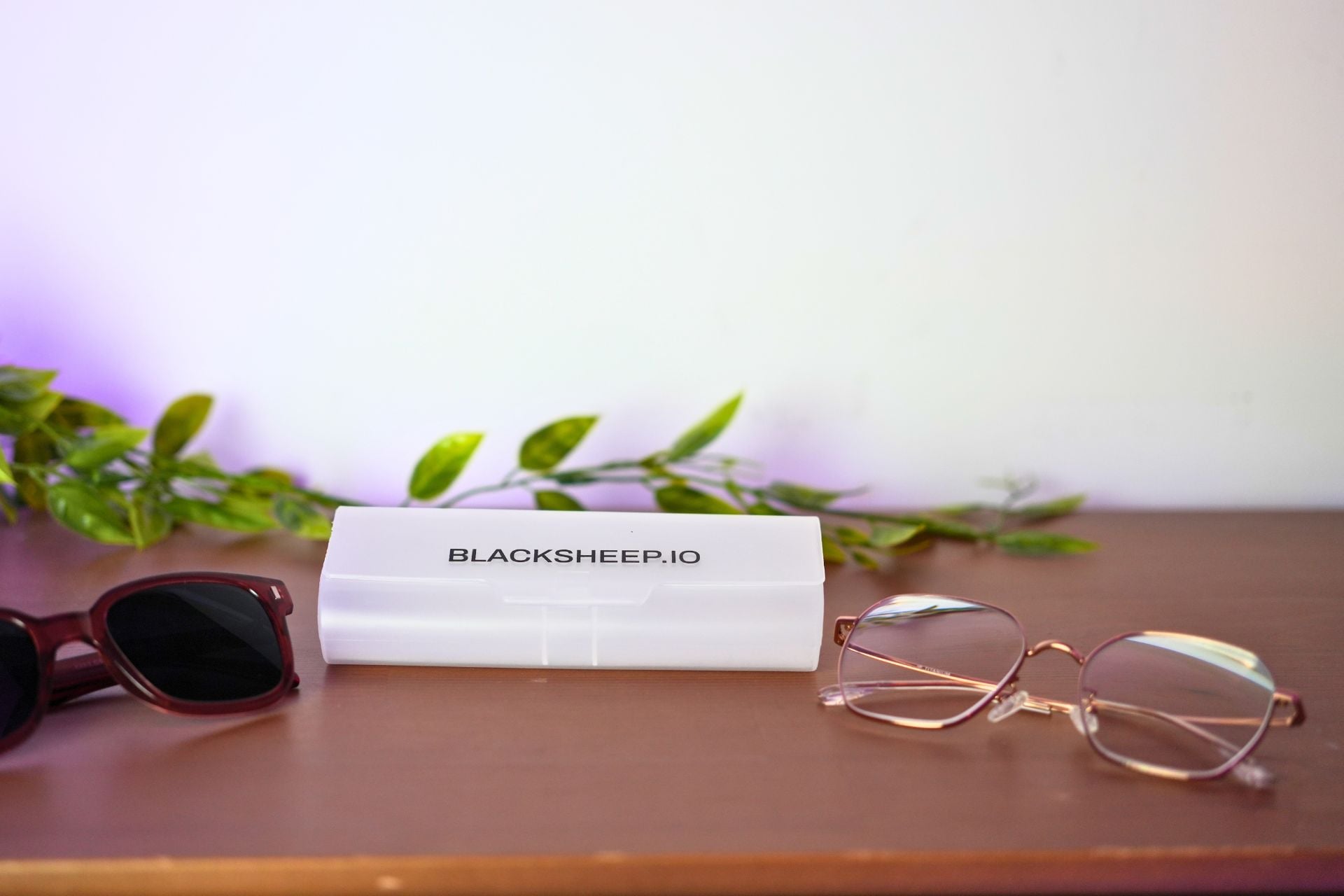 Blacksheep Lunettes (3)