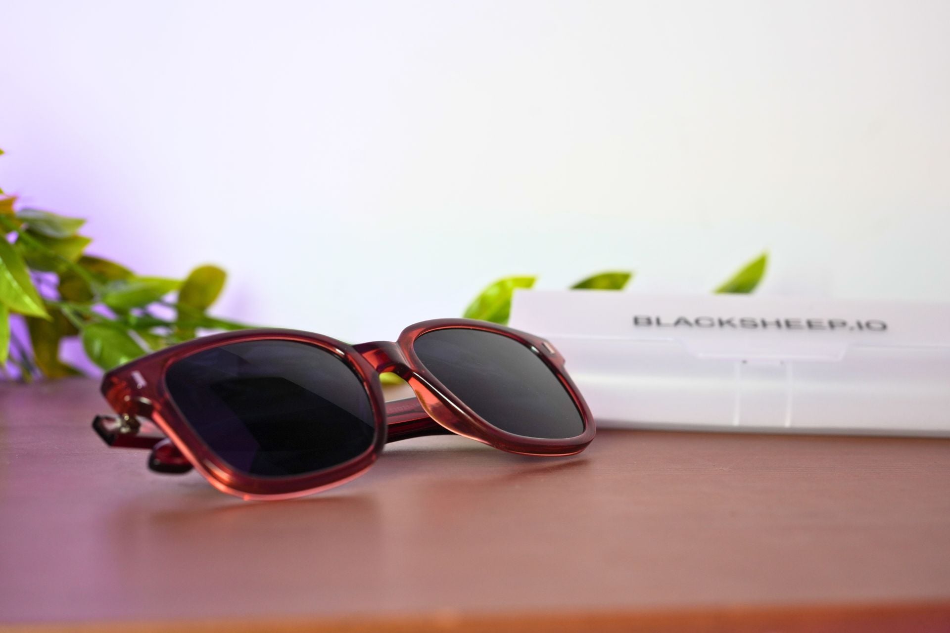 Blacksheep Lunettes