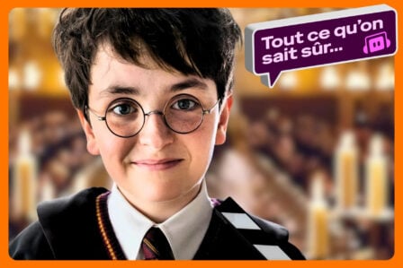 Harry Potter Tout Savoir