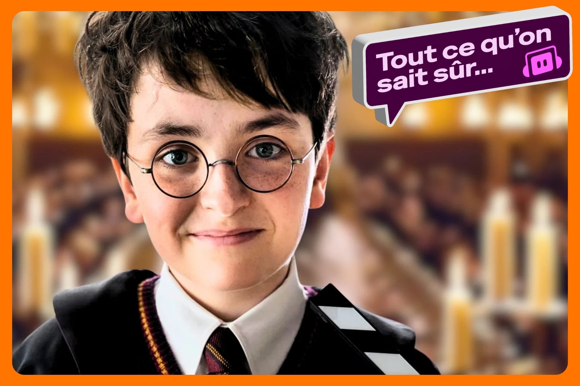 Harry Potter Tout Savoir