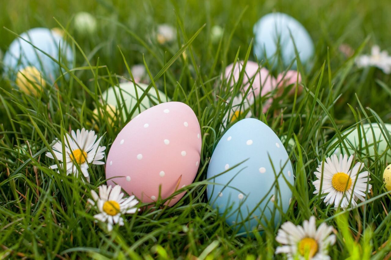 Oeufs Chocolat Paques