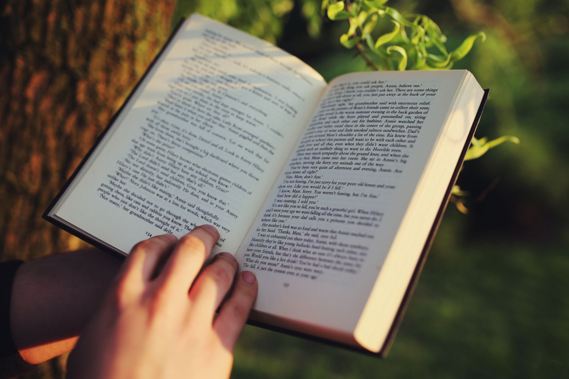 Selection Bd Avril 2026 Livres Manga Roman