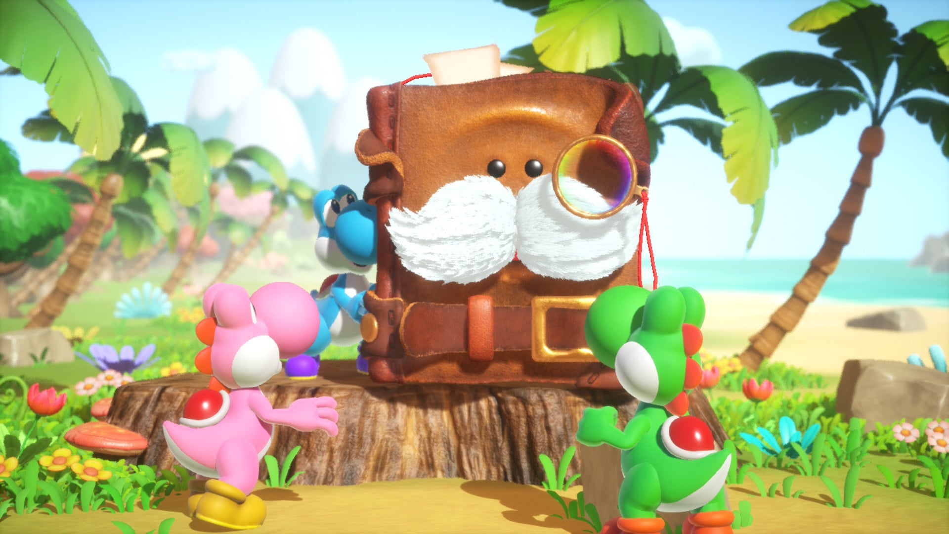 Test de Yoshi and the Mysterious Book Switch 2