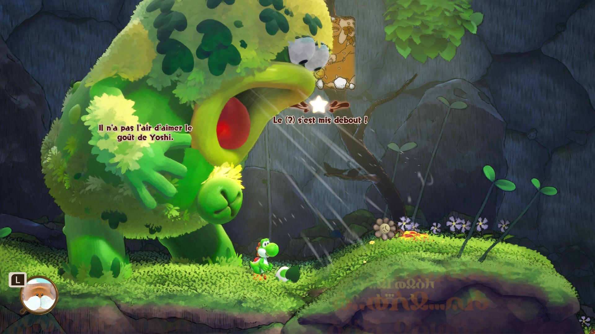 Test de Yoshi and the Mysterious Book Switch 2