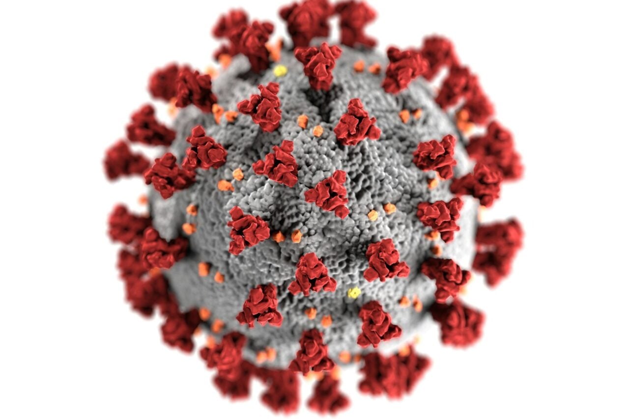 Agent Pathogène, Virus