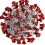 Agent Pathogène, Virus