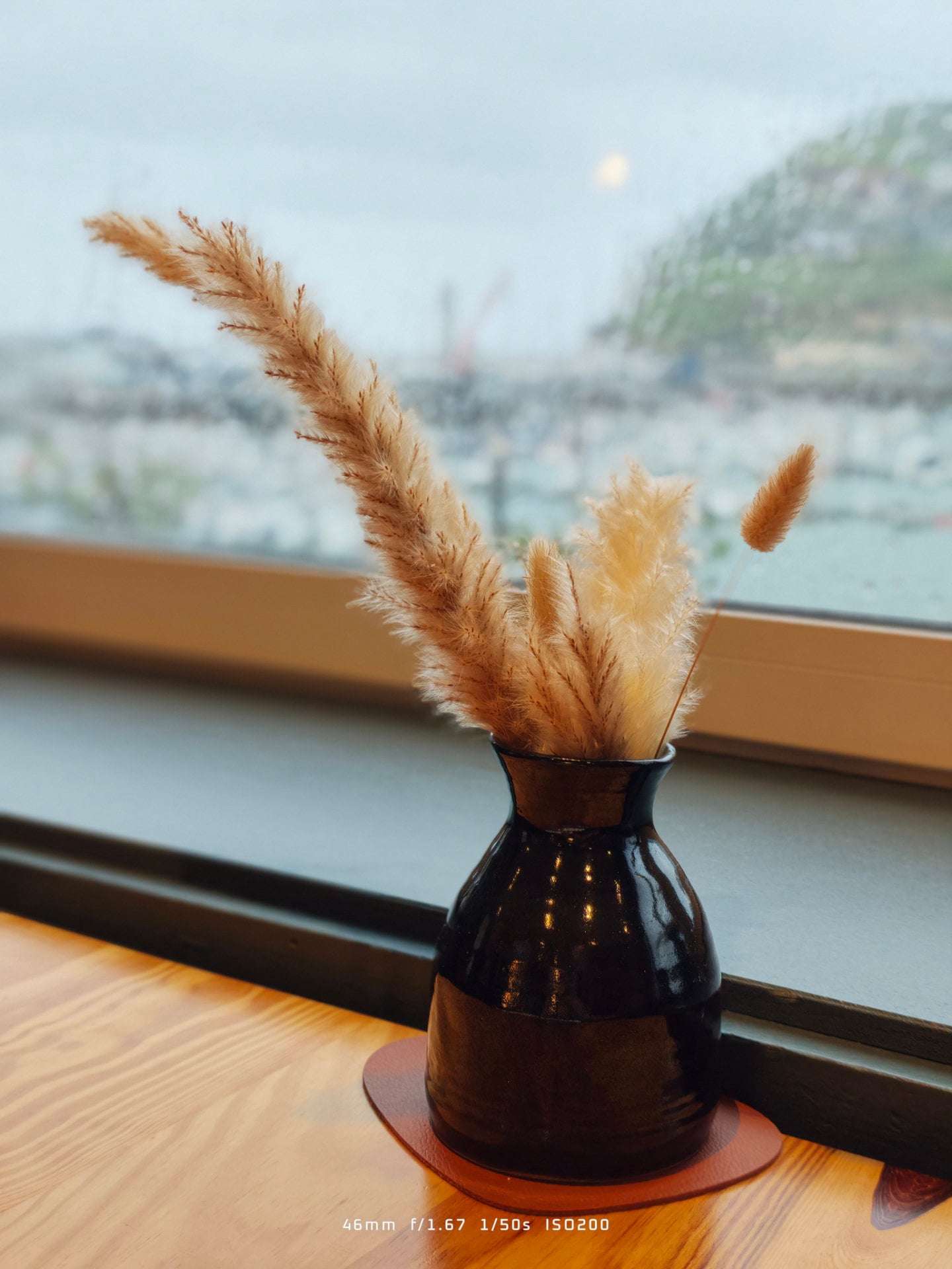 Xiaomi 17t Pro Sample Photo 16