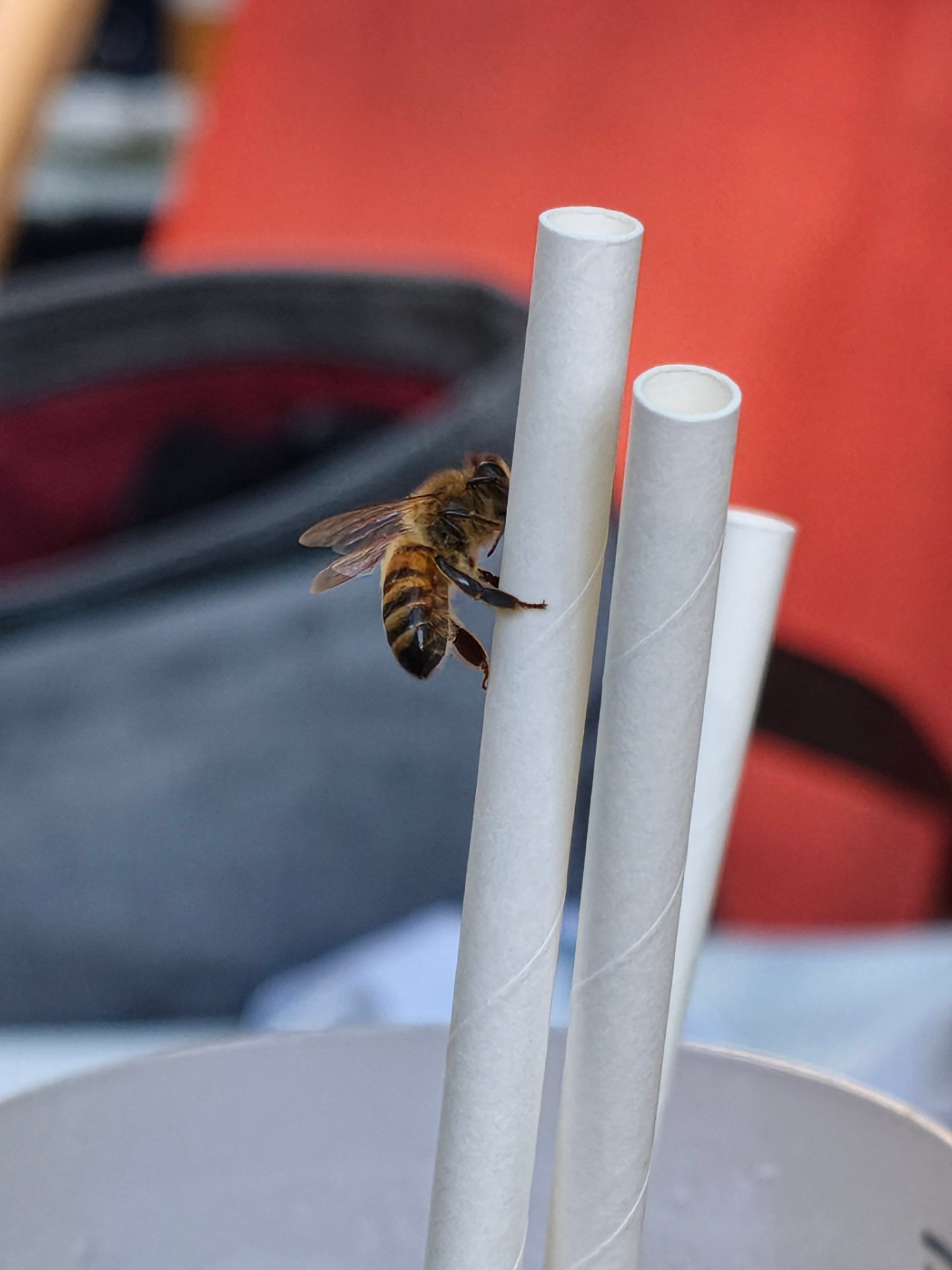 Xiaomi 17t Pro Sample Photo 3