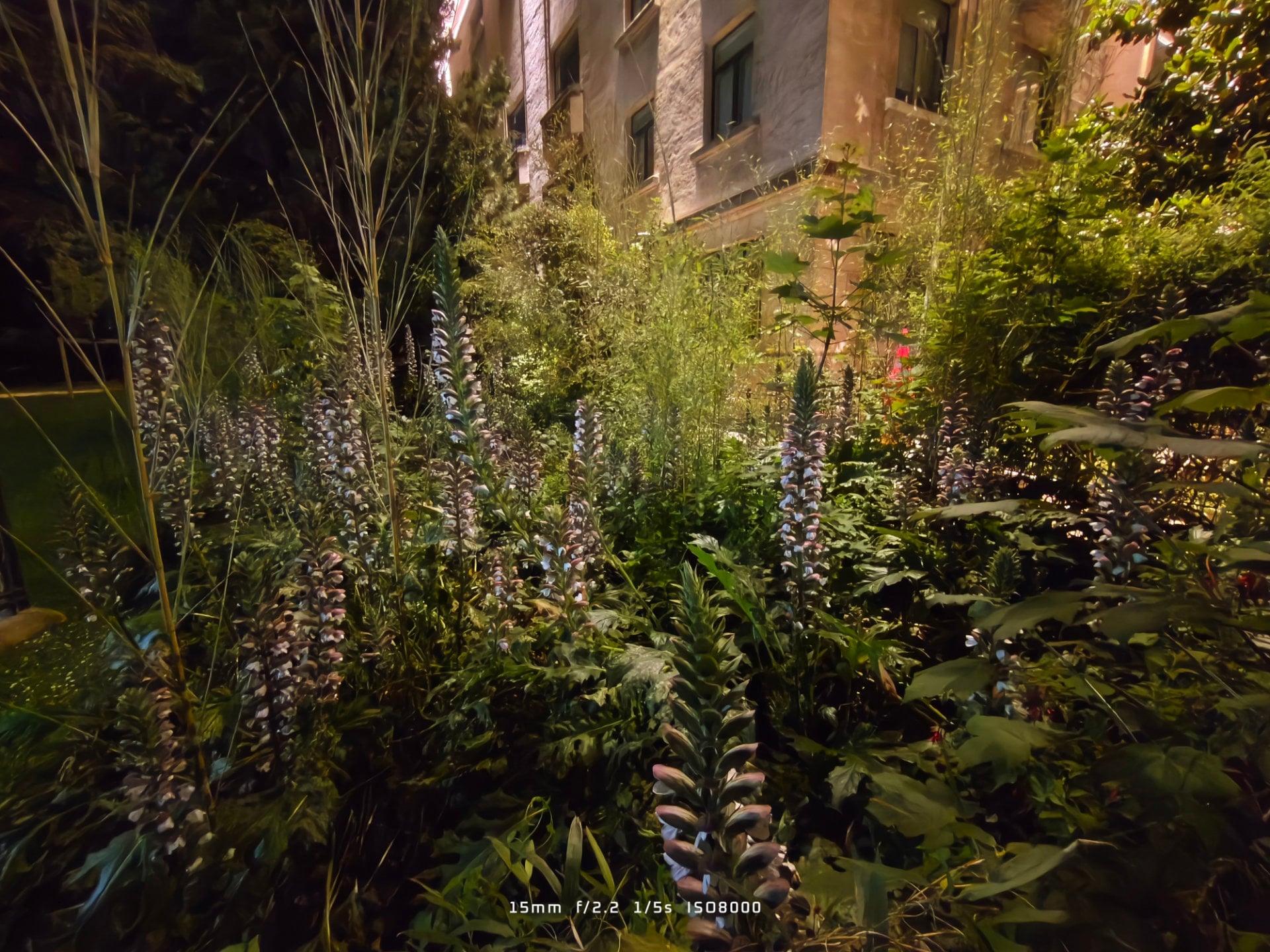 Xiaomi 17t Pro Sample Photo 66