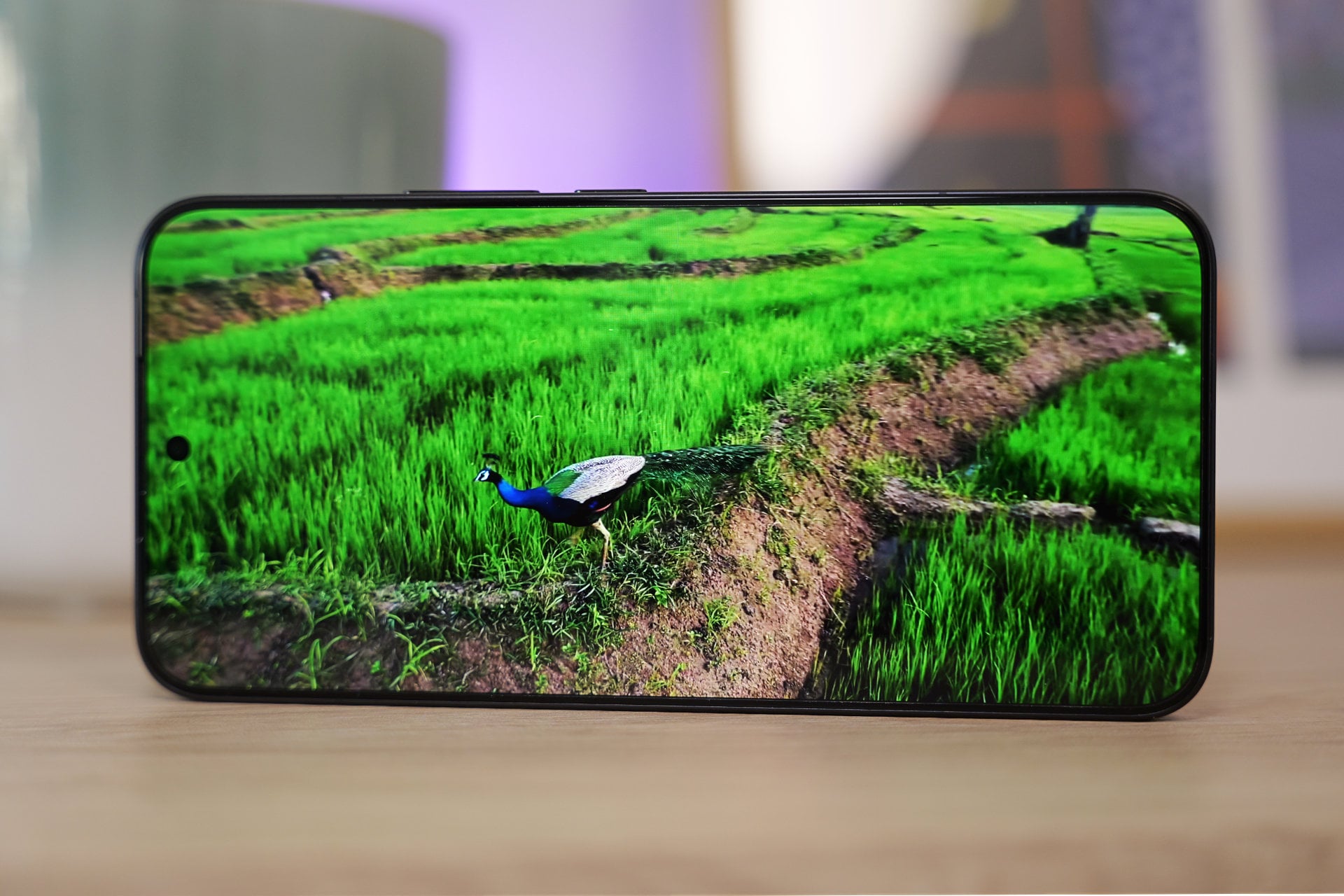 Xiaomi 17t Pro Ecran