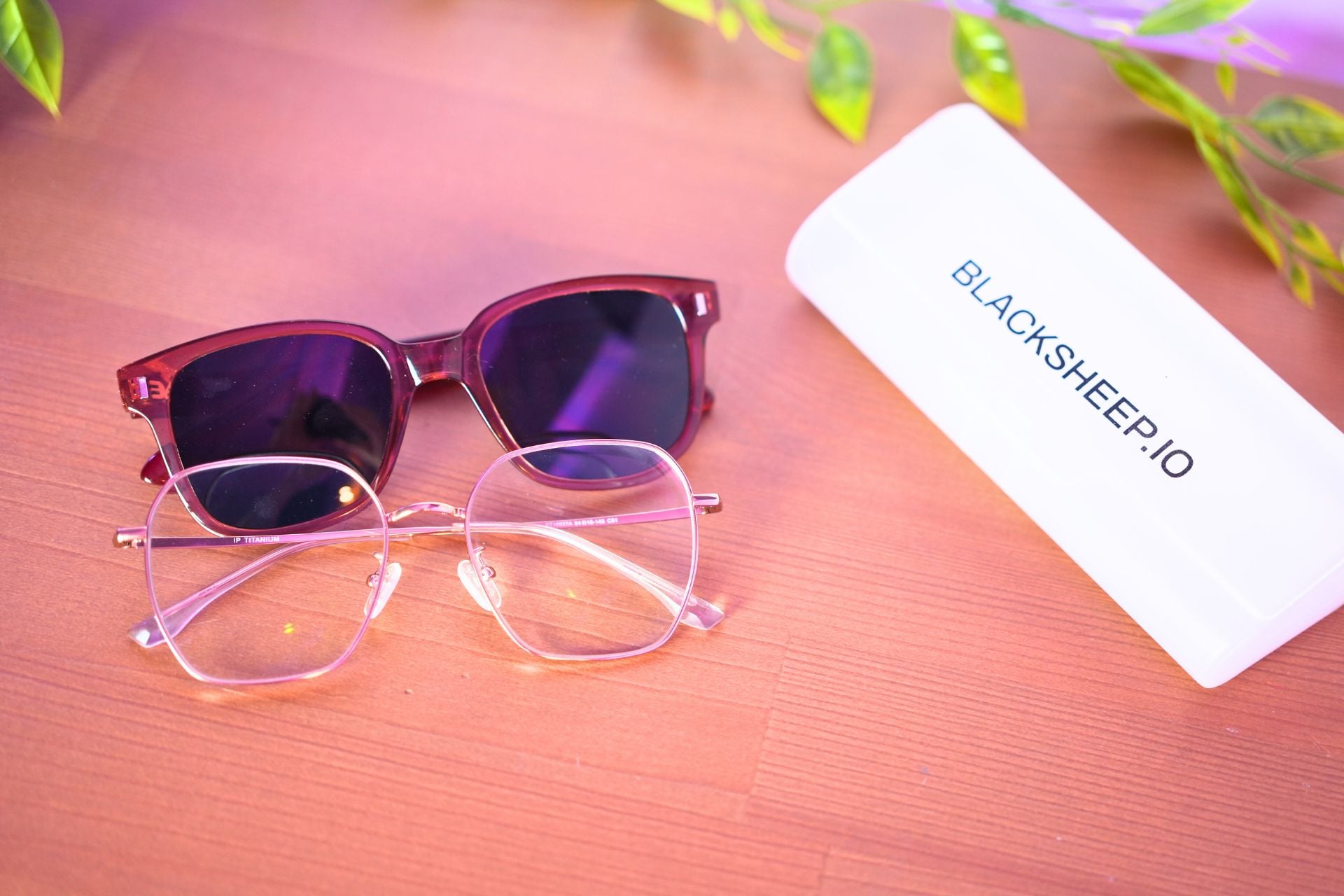 Blacksheep Lunettes (6)