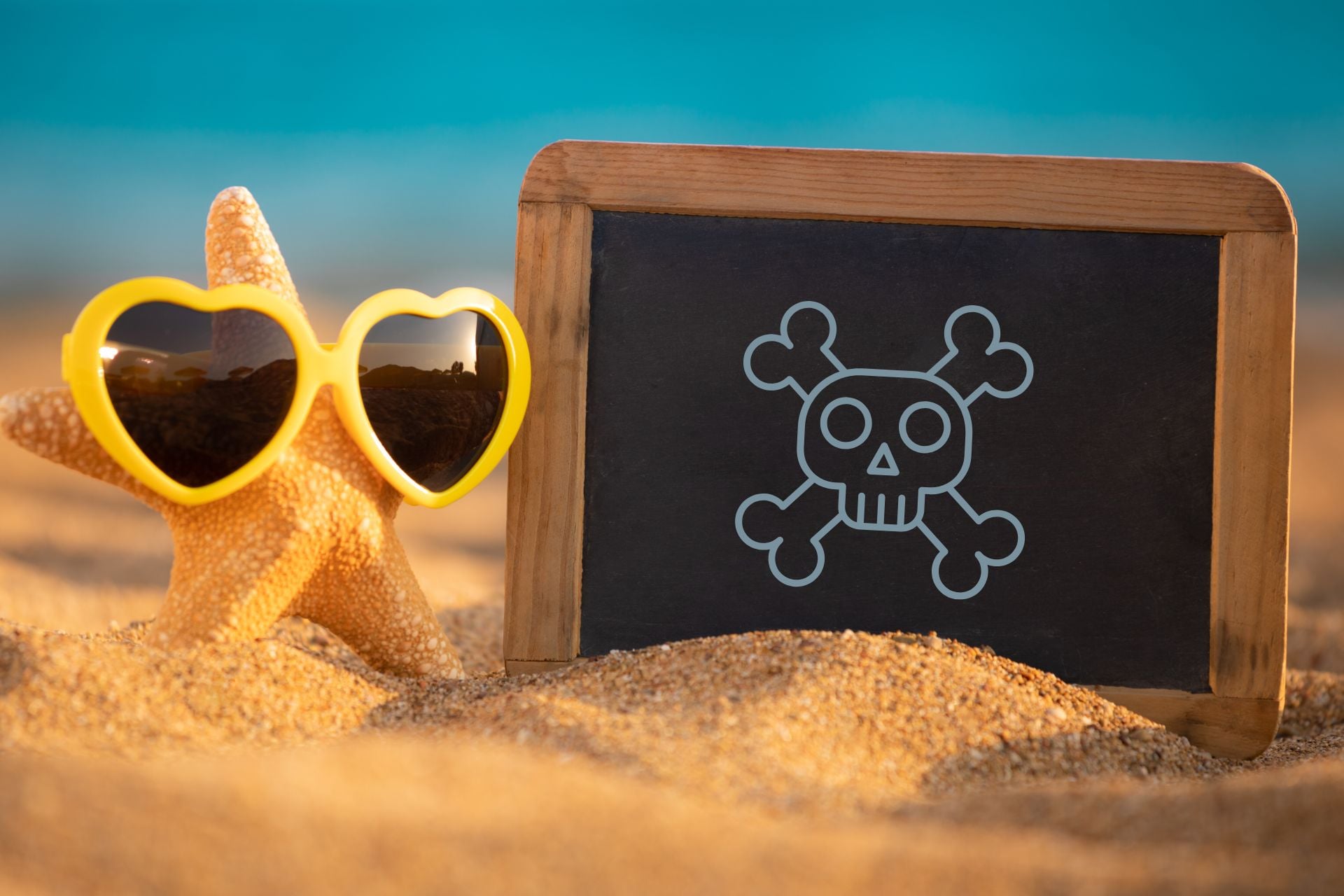 Piratage Vacances