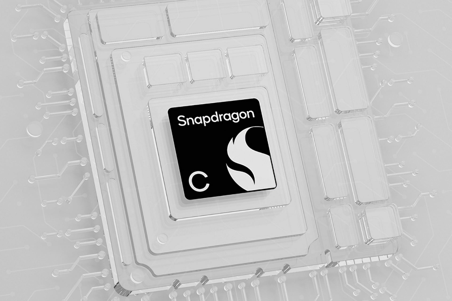 Snapdragon C