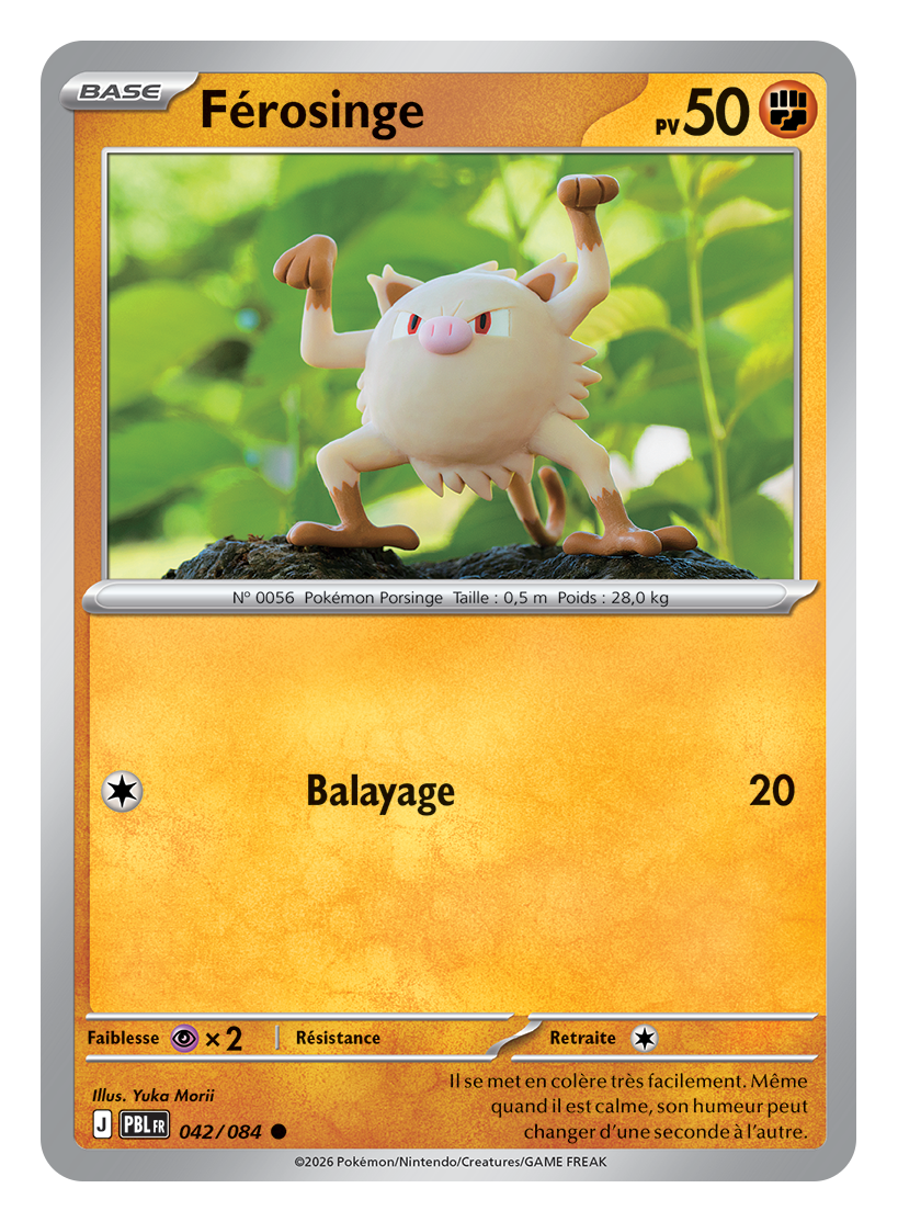 Carte Pokémon extension Nuit Noire JCC