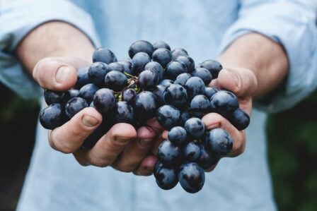 Raisin (2)