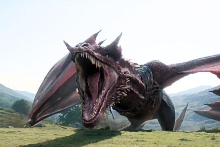 Dragons Ou Wyverne