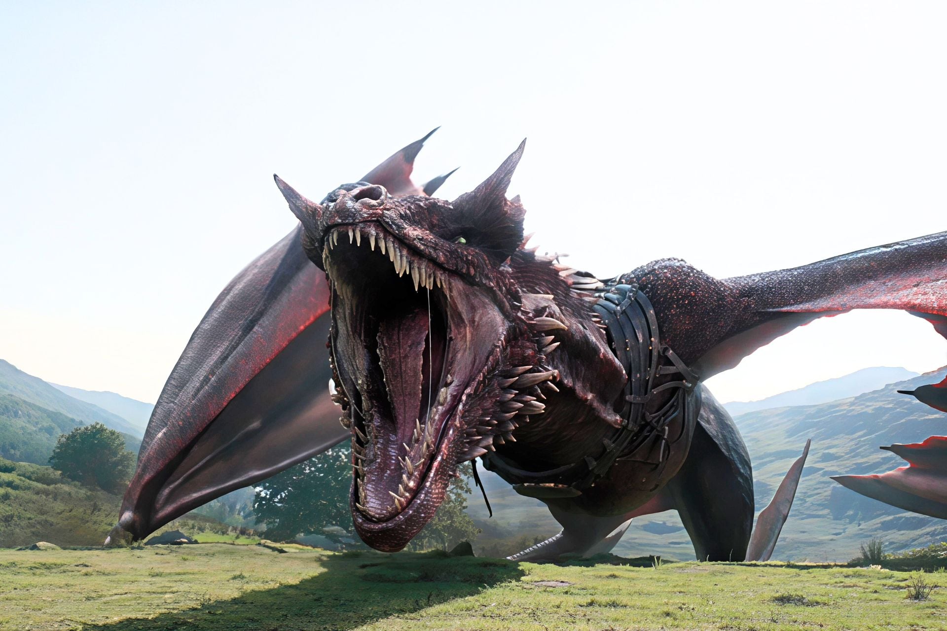 Dragons Ou Wyverne