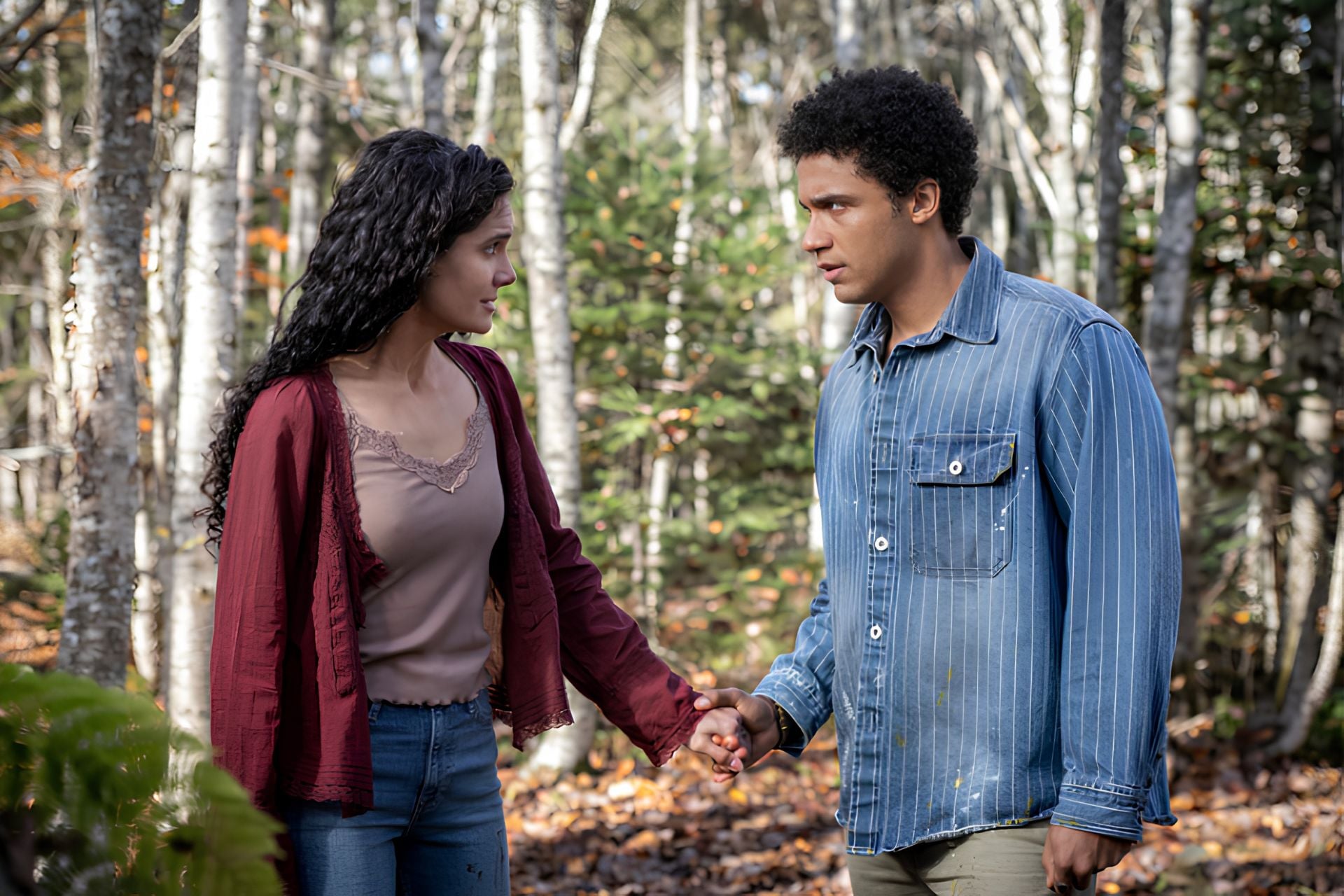 From Saison 4 Fin Explications1