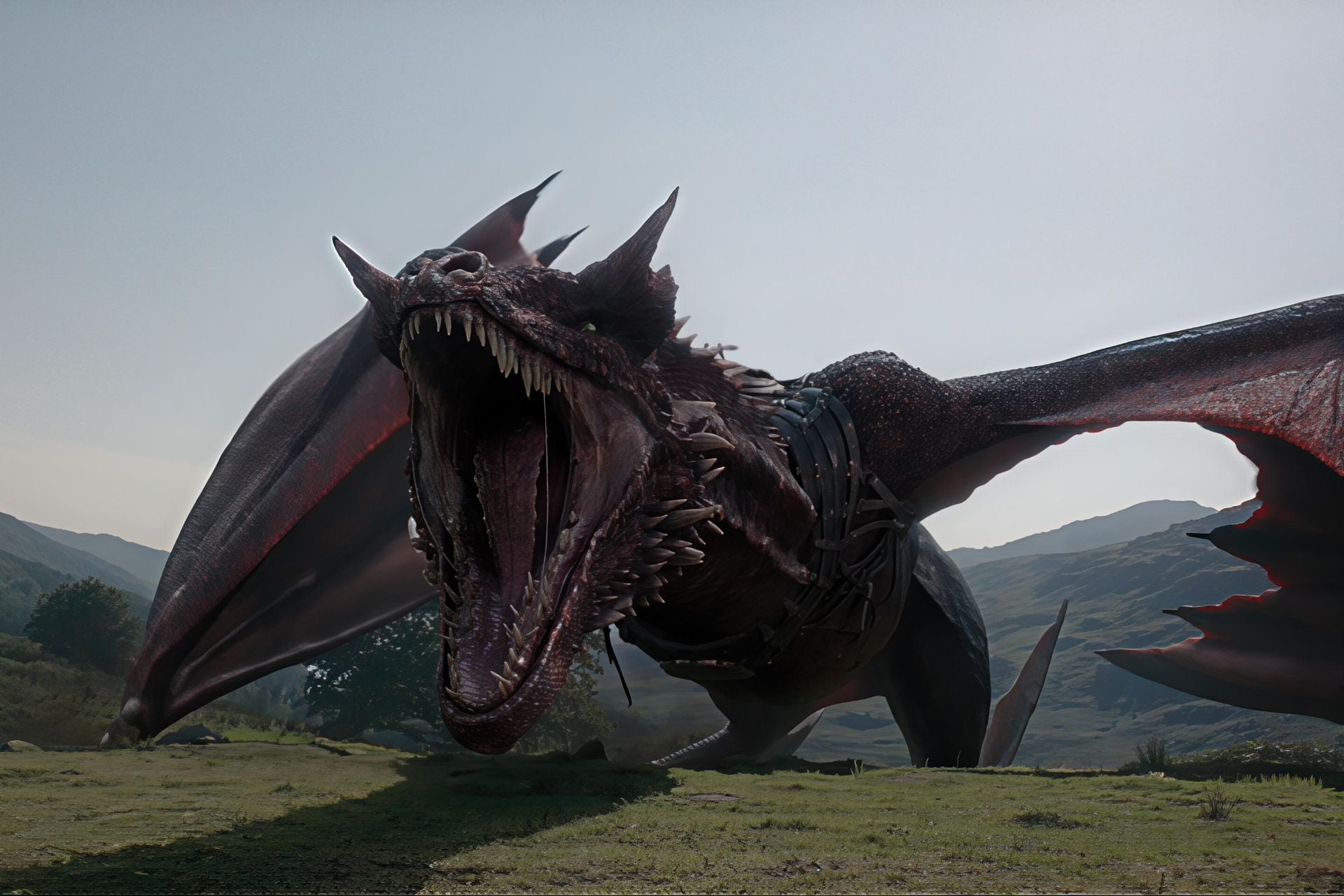House Of The Dragon Saison 3 (4)