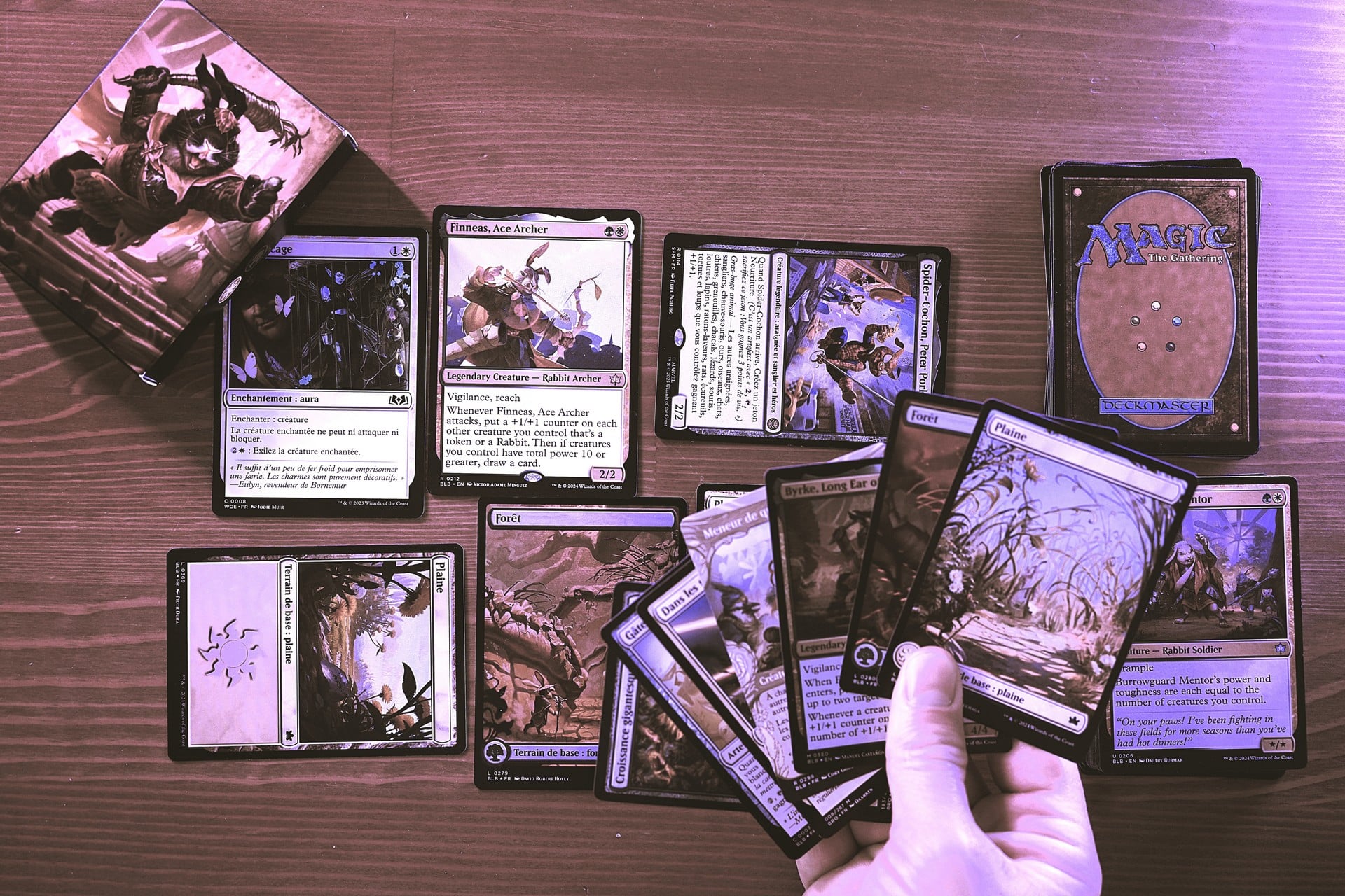 Magic The Gathering : le guide du débutant pour se mettre au JCC en 2026
