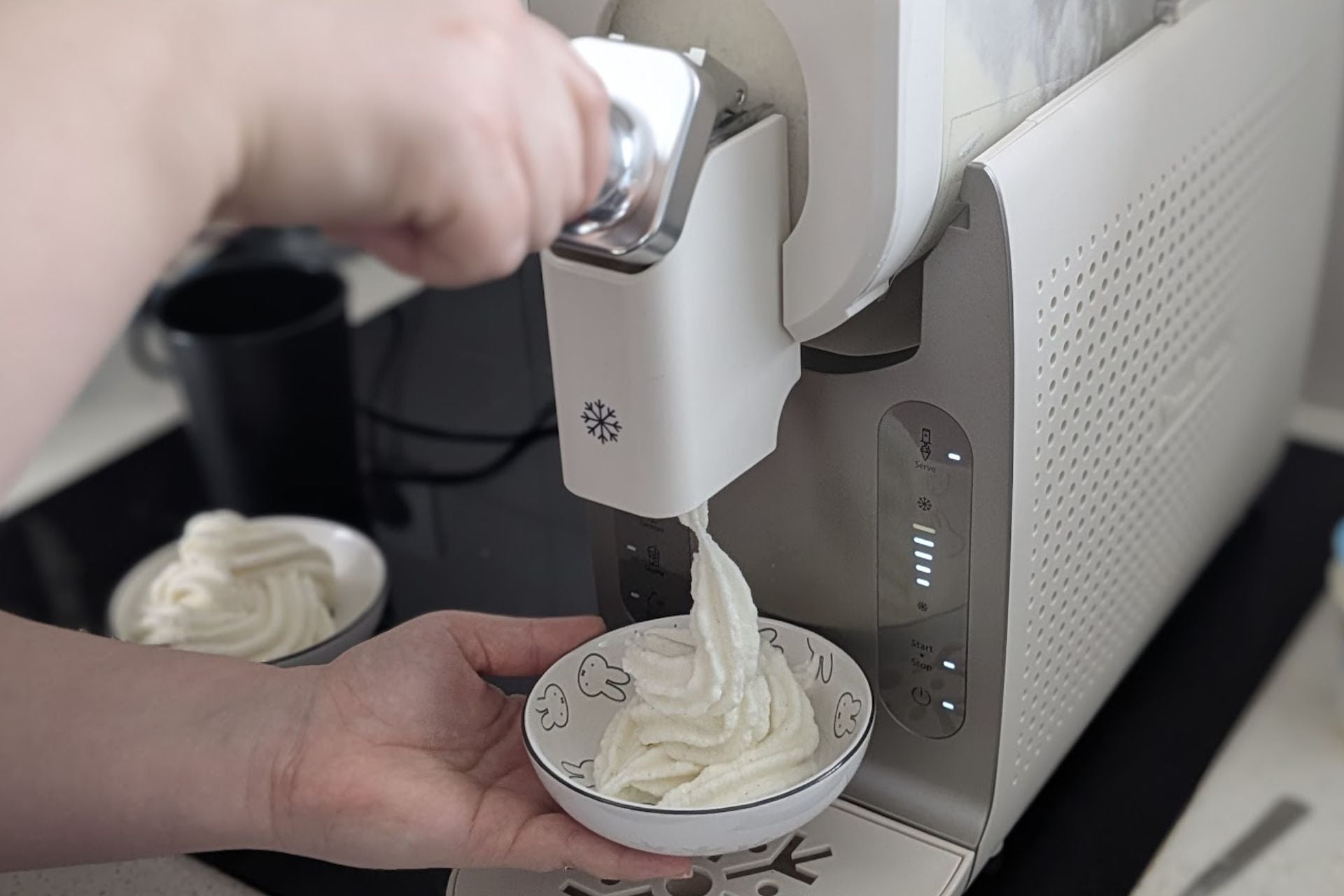 Moulinex Freezi (4)