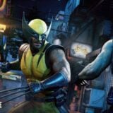 Wolverine