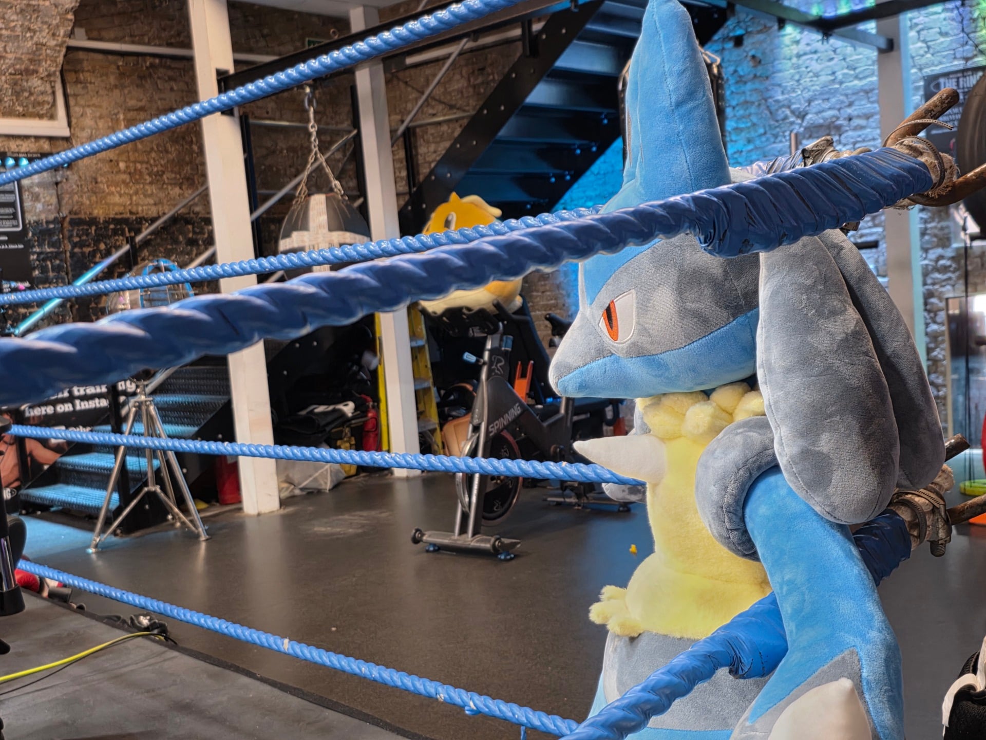 Champion of Champions Pokémon