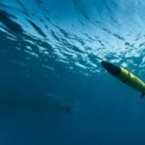 Alseamar Glider Data Collection Survey Scaled