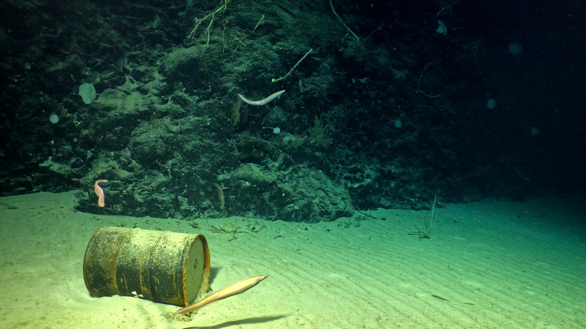 Nodssum barrel
