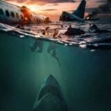 Un crash d'avion, des requins affamés, que vaut vraiment le film d'horreur Deep Water ?