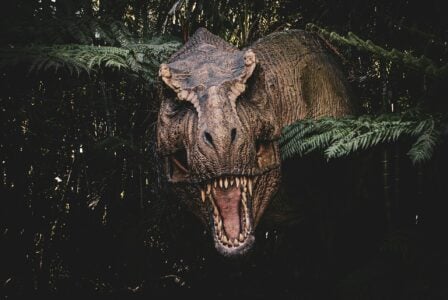 Trex