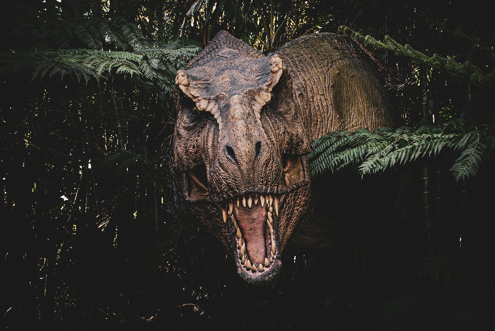 Trex