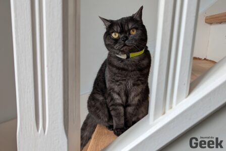Kippy Cat V2