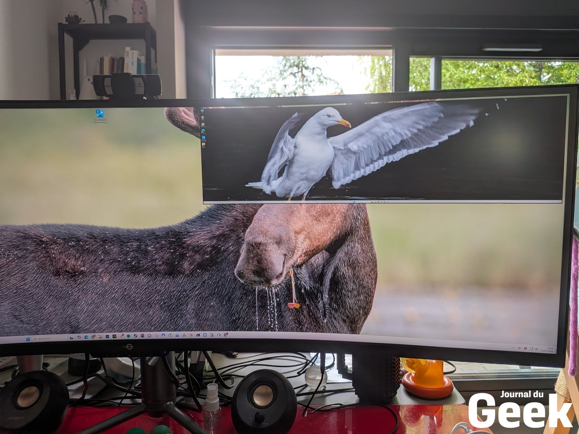 Moniteur Large 21 9 16