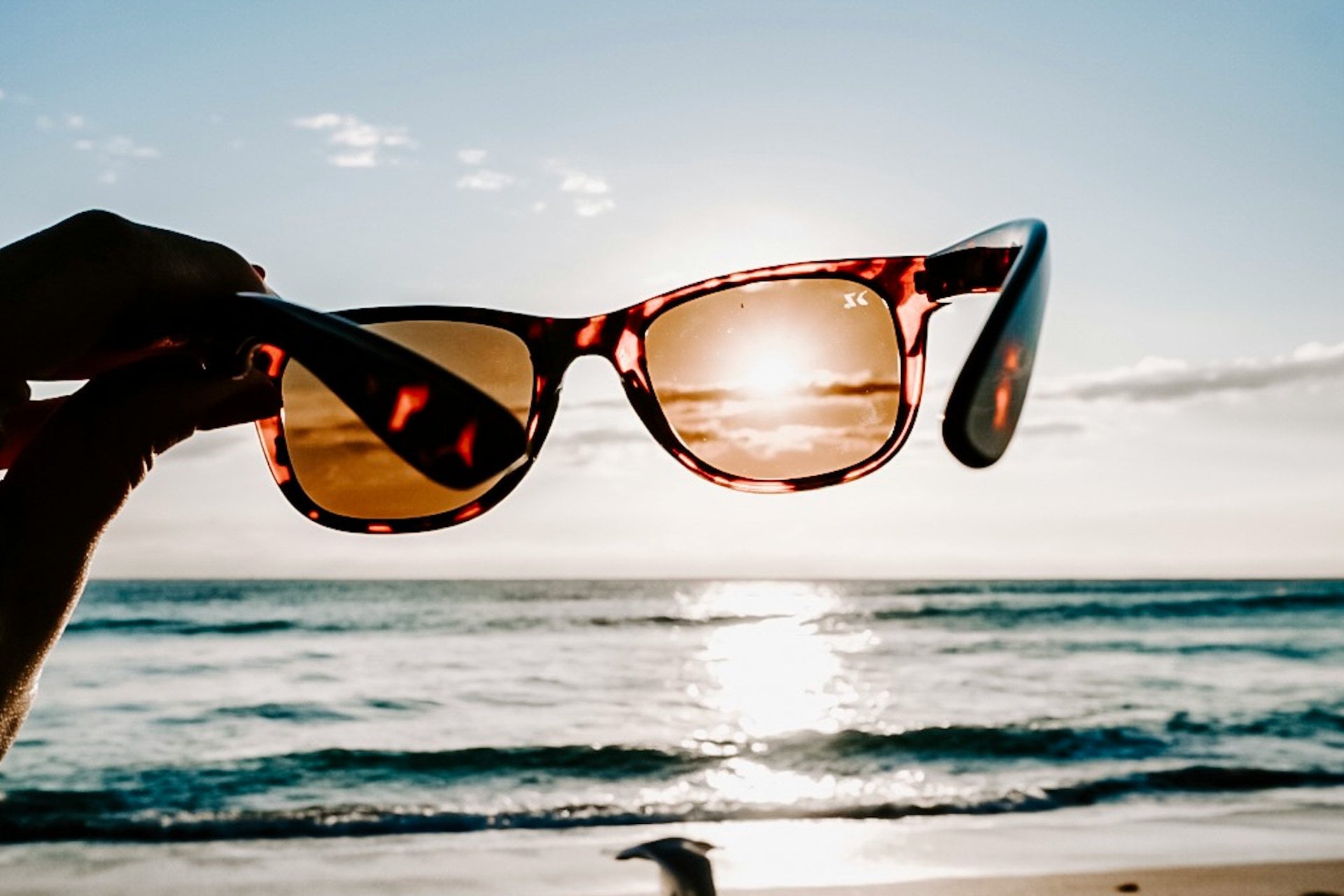 Protection Lunettes Eclipse