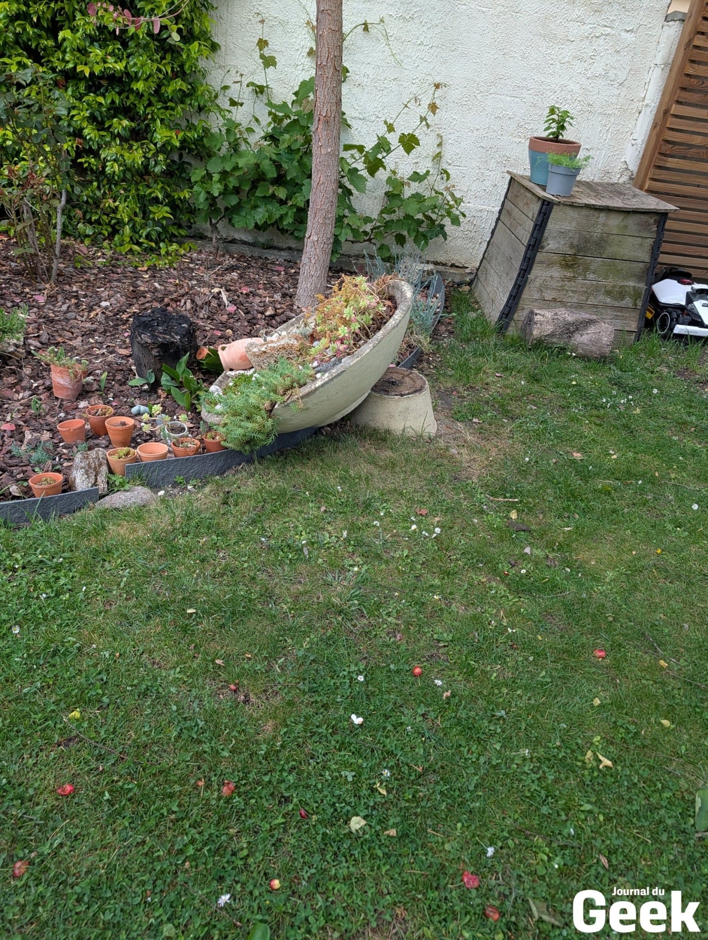Rockmow 36