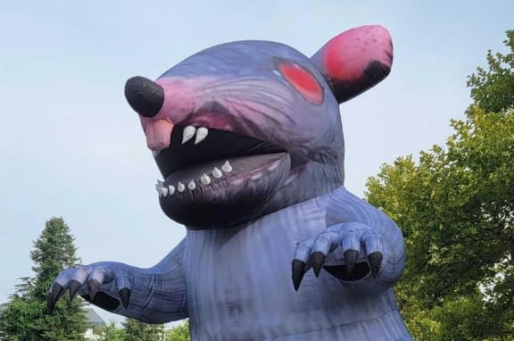 Rat Bethesda Xbox
