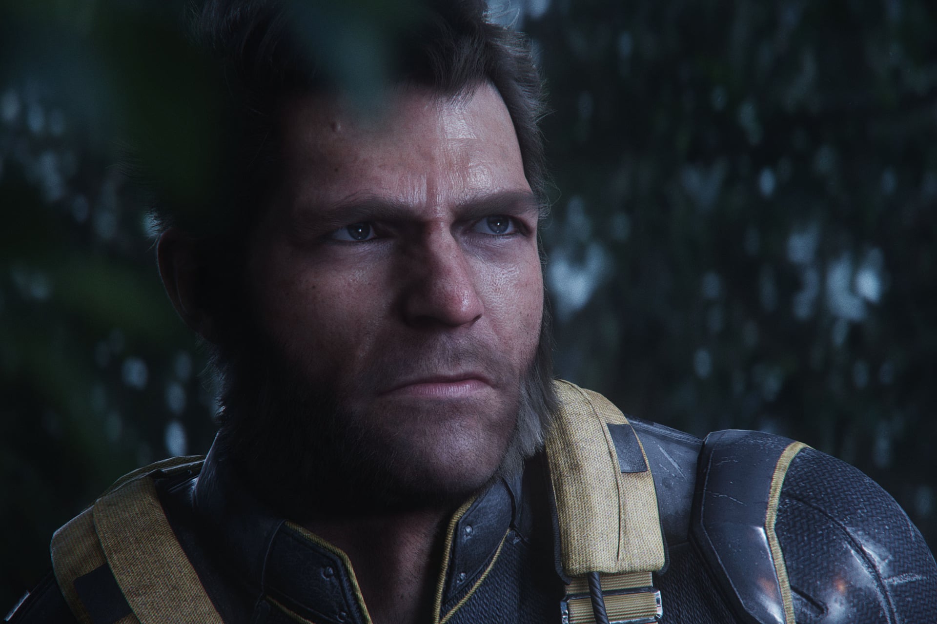 Wolverine Logan