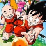 Dragon Ball Parc France