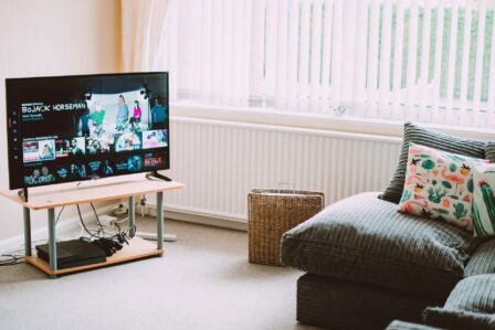 Partage de compte Netflix : bientôt une loi pour contrer les restrictions ?