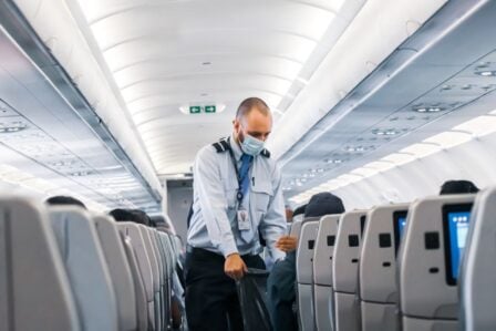 Pilote Hotesse De L'air