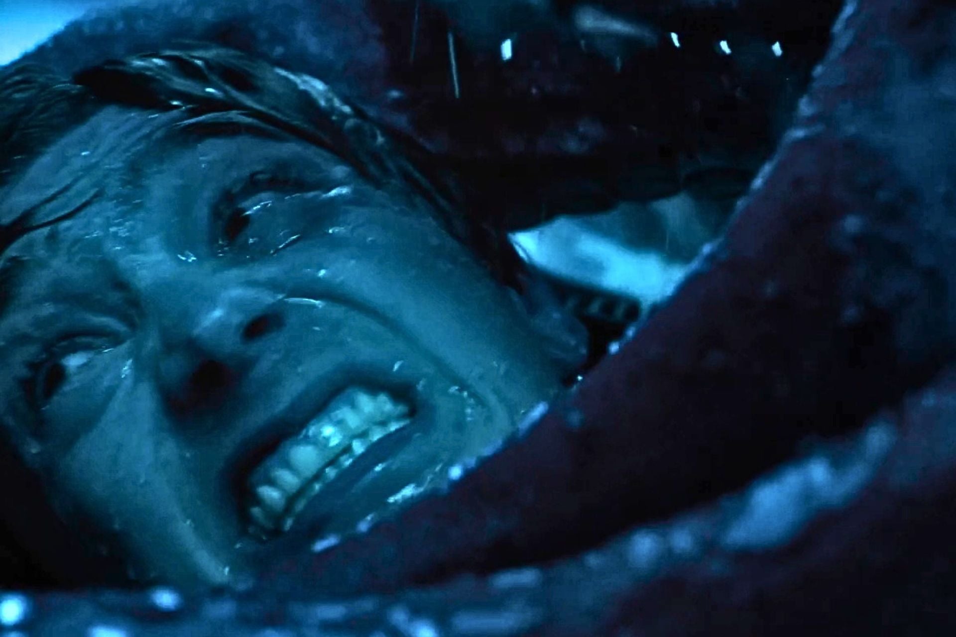 Whalefall Bande Annonce