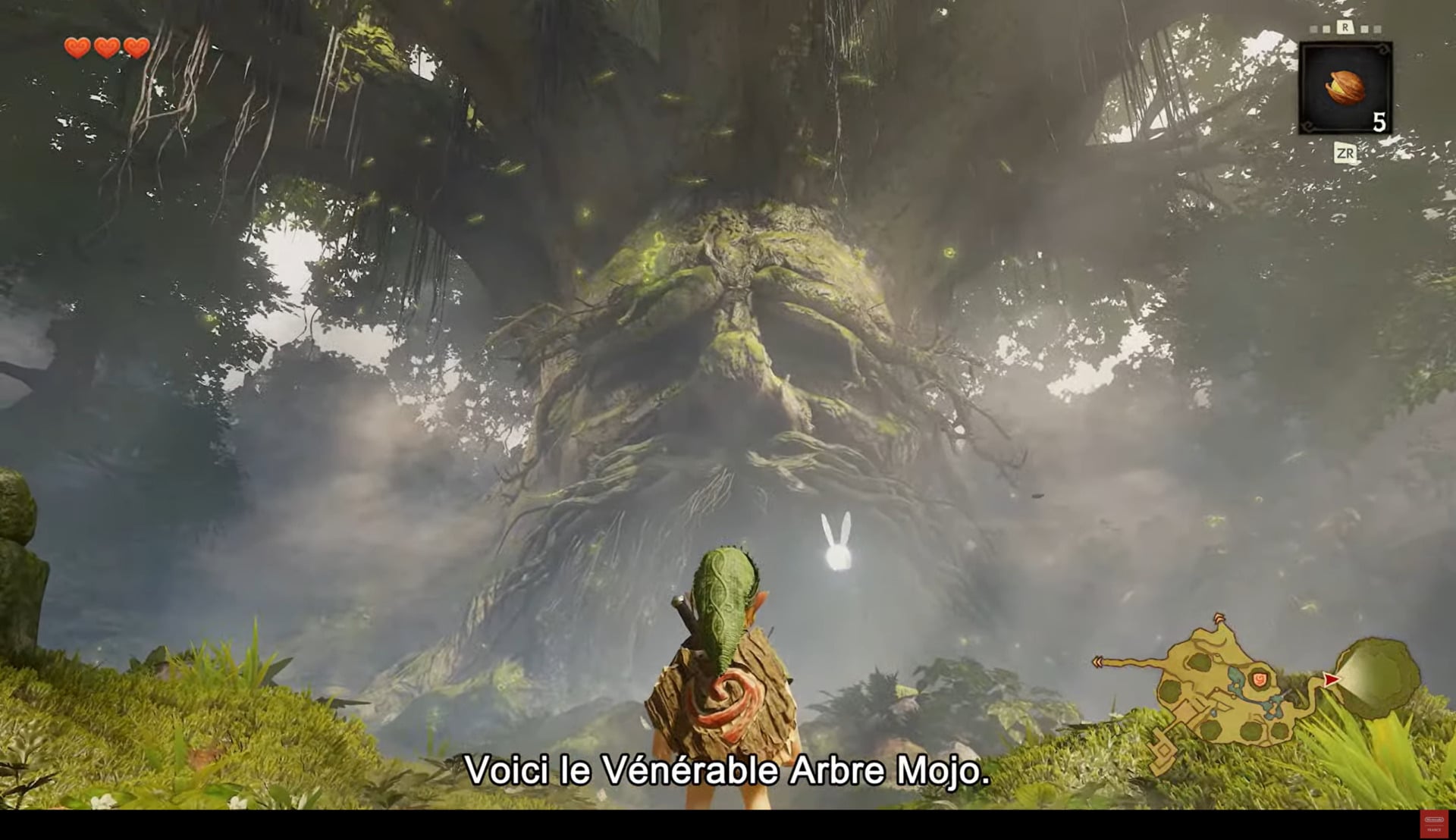 Zelda Ocarina of Time Remake Switch 2