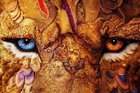 Les premières images de Narnia : Le Neveu du magicien sont là et elles risquent de ne pas vous plaire !