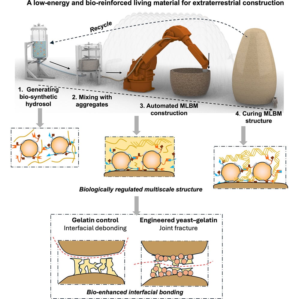 Projet Habitation Mars