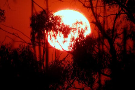 Soleil, Canicule