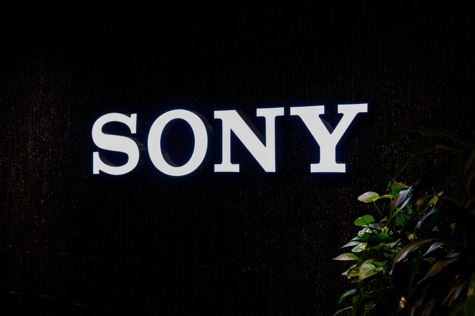 Sony